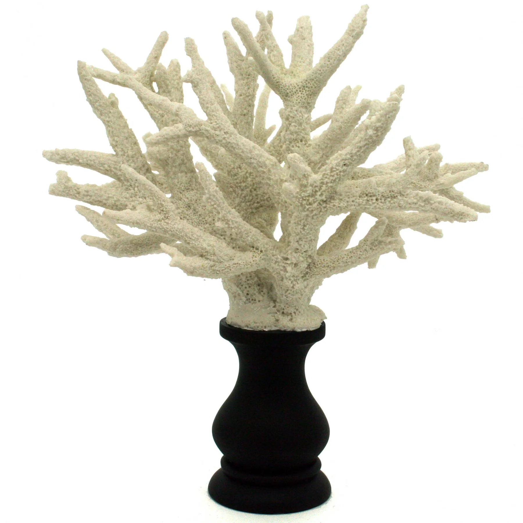 Corail Célestin