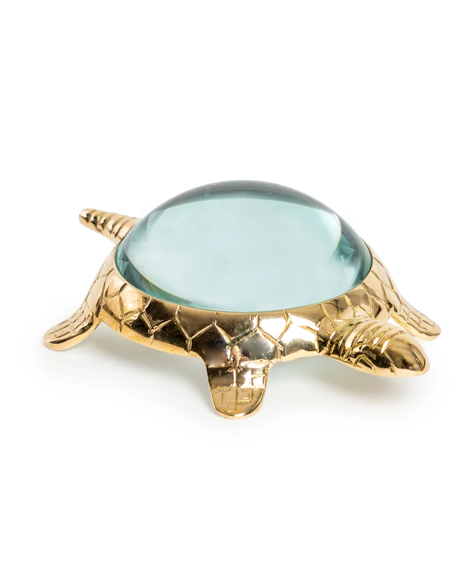 Loupe tortue Philibert